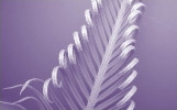 about-purple-front